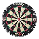 Halex 64962 The Envy 18-Inch Bristle Dartboard