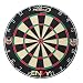 Halex 64962 The Envy 18-Inch Bristle Dartboard