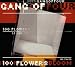 100 Flowers Bloom: Anthology