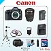 Canon 22MP EOS 5D Mark III Bundle - Includes Canon EF 24-105mm f/4 L IS USM Lens - 16GB SDHC Memory Card - USB Memory Card Reader - 3 Piece Lens Filter Kit - Spare LP-E6 Lithium Battery - 3 Piece Lens Filter Set - Digital Flash - Lens Cleaning Kit - Full Size Tripod - Carrying Case
