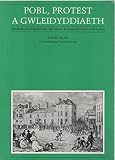 Pobl, protest a gwleidyddiaeth : mudiadau poblogaidd yng Nghymru'r bedwaredd ganrif ar bymtheg
