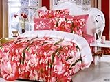 AR249Q Arya Full-Queen- 6 Pieces Duvet Cover Bedding Set- Enrico