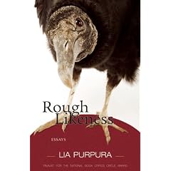 Rough Likeness: Essays by Lia Purpura