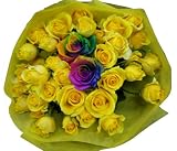 ���C���{�[���[�Y�@�v���e�B�E�A���X �y���F�z�@���ԑ���