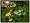 Spore (Mac/PC DVD)