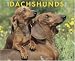 Book Just Dachshunds 2008 Calendar (Just)