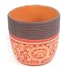 Handmade Decorative Ceramic Flower Pot / Jar With Striking Red Floral Designs