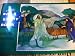 Jubilee Bible Story Book: Jesus, Our Companion at Amazon Books: 51p-3NnNKlL._SL75_