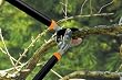 Fiskars 9133 Power-Lever 28-Inch Anvil Lopper