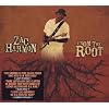 From the Root (Dig)