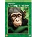 Disneynature Chimpanzee (Two-Disc Blu-ray/DVD Combo in DVD Packaging)