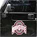 Ohio State Buckeyes Die Cut Car Magnet