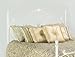 Aynsley Headboard in Alabaster