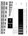 Designer's Test Book: Grayscale Edition