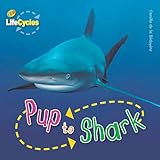 Pup to shark