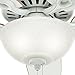 Hunter Fan Company 53089 Builder Deluxe Indoor Ceiling Fan with LED Light and Pull Chain Control, 52