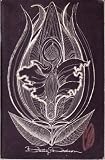 Produkt-Bild: Liberating Masturbation: A meditation on Self Love