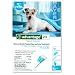 Advantage Topical Solution Flea Treatment for Dogs 11 to 20 Pounds, 6 Applications