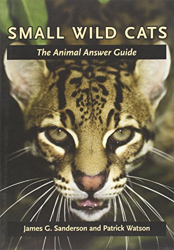 Small Wild Cats: The Animal Answer Guide (The Animal Answer Guides: Q&A for the Curious Naturalist)