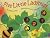 Five Little Ladybugs