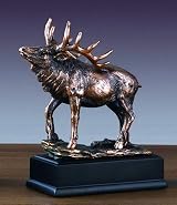 Bronze Bull Elk Sculpture - 14