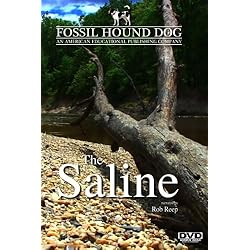 The Saline