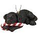 Black Labrador Retriever Dog Candy Cane Ornament by Big Sky Carvers