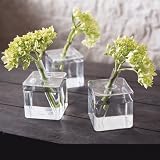 roost cube vase