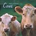 Cows 2009 Square Wall Calendar