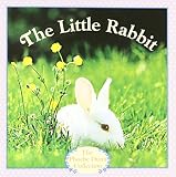 The Little Rabbit