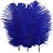 Shekyeon Royal Blue 10-12inch 25-30cm Ostrich Feather Home Decoration DIY Craft Pack of 10