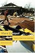 More Unequal: Aspects of Class in the United States