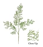18 Green Iridescent Glitter Cedar Vine Christmas Spray