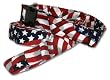Designer American Flag Dog Collar - Red, White and Blue Flag Collar - Large - Made in USA