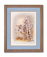 Green Winged Teal Duck Lake Animal Wildlife Home Decor Wall Picture Oak Framed Art Print