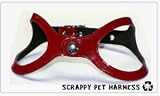 Sporting Goods : Step in Scrappy Pets Leather Dog Harness (Eco-Friendly)