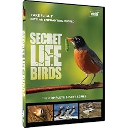 Secret Life of Birds - 5 Part Series