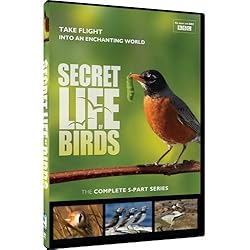 Secret Life of Birds - 5 Part Series
