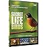 Secret Life of Birds - 5 Part Series
