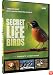 Secret Life of Birds - 5 Part Series