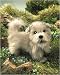   - Glen Terrier Puppet