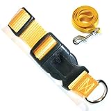 YELLOW - 3/4 IN WIDE - Kwik Klip Nylon Collar and Matching Lead - Adjusts 14-20 in