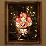 Georgia Bulldogs UGA Outdoor Yard Christmas Decoration