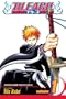 Bleach, Volume 1