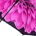 Galleria Pink Dahlia Auto-Close Umbrella w/48