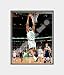 Matted Rasheed Wallace Boston Celtics 8x10 Photo