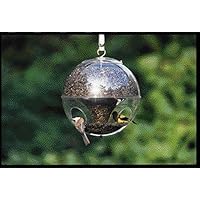 Globe - Super Cling A Wing