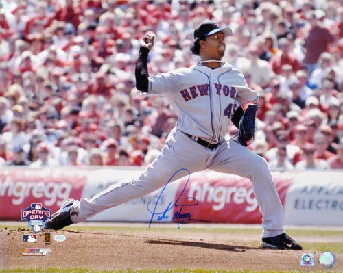 Pedro Martinez New York Mets Autographed 16x20 Photo