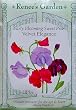 Early Blooming Sweet Peas Velvet Elegance Seeds 30 Seeds