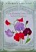 Early Blooming Sweet Peas Velvet Elegance Seeds 30 Seeds